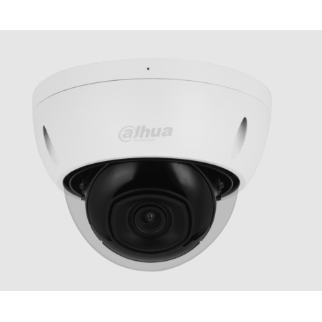 Dahua - Caméra IP Externe WizSense à dôme IR à focale Fixe 5MP Starlight WDR IK10 Audio IPC-HDBW2541E-S